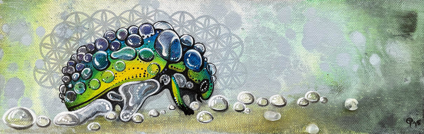 "Beetle Dewce" - Fine Art Prints
