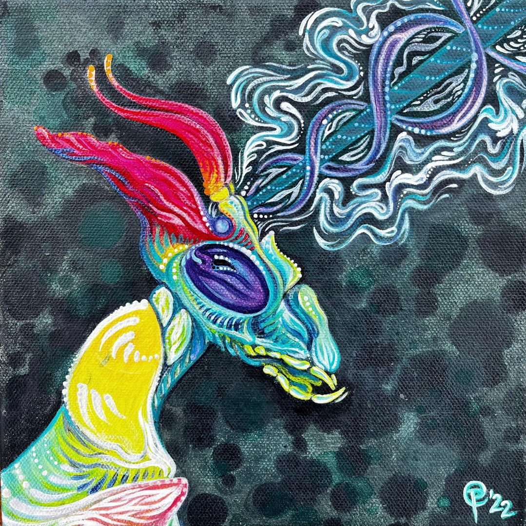 "Idolomantis Diabolica"