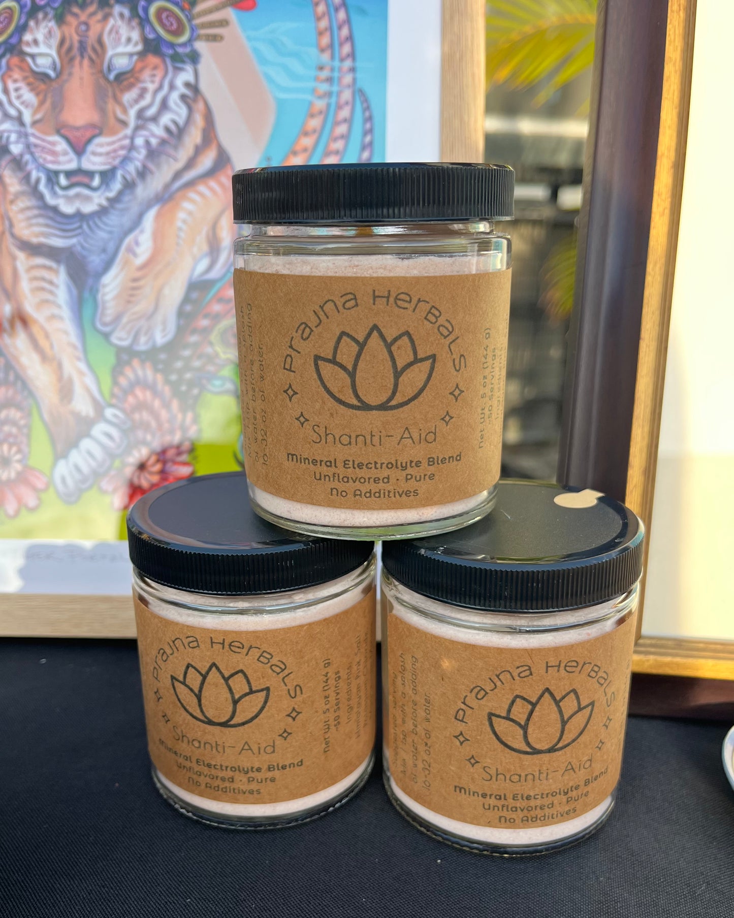 Shanti-Aid | Mineral Electrolyte Blend (Original)