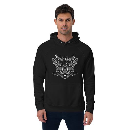 Abundant Satisfactions eco raglan hoodie